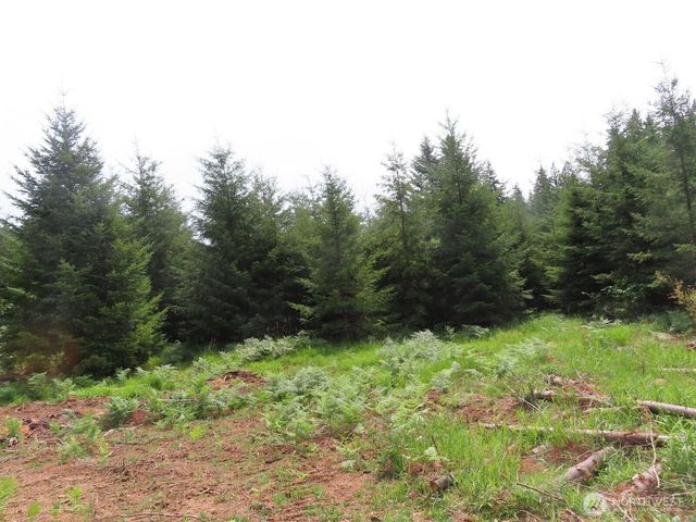 0 Lot D Mill Creek Lane, Longview, WA 98632