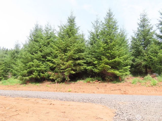0 Lot D Mill Creek Lane, Longview, WA 98632