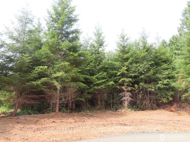 0 Lot D Mill Creek Lane, Longview, WA 98632