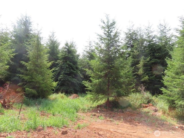 0 Lot D Mill Creek Lane, Longview, WA 98632