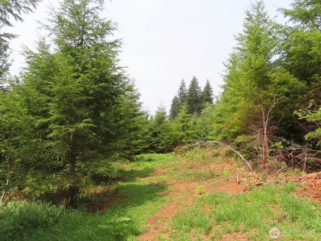 0 Lot D Mill Creek Lane, Longview, WA 98632