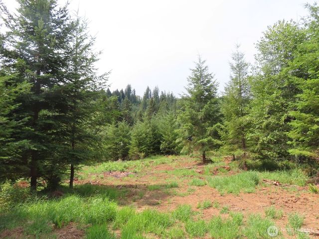 0 Lot D Mill Creek Lane, Longview, WA 98632