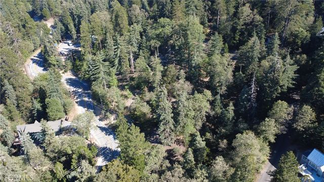 25659 North Road, Twin Peaks, CA 92391