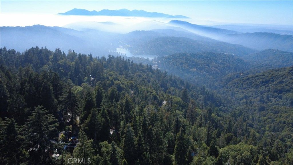 25659 North Road, Twin Peaks, CA 92391