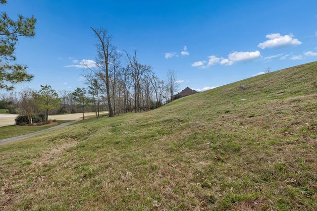 7085 Lanceleaf Dr, College Grove, TN 37046