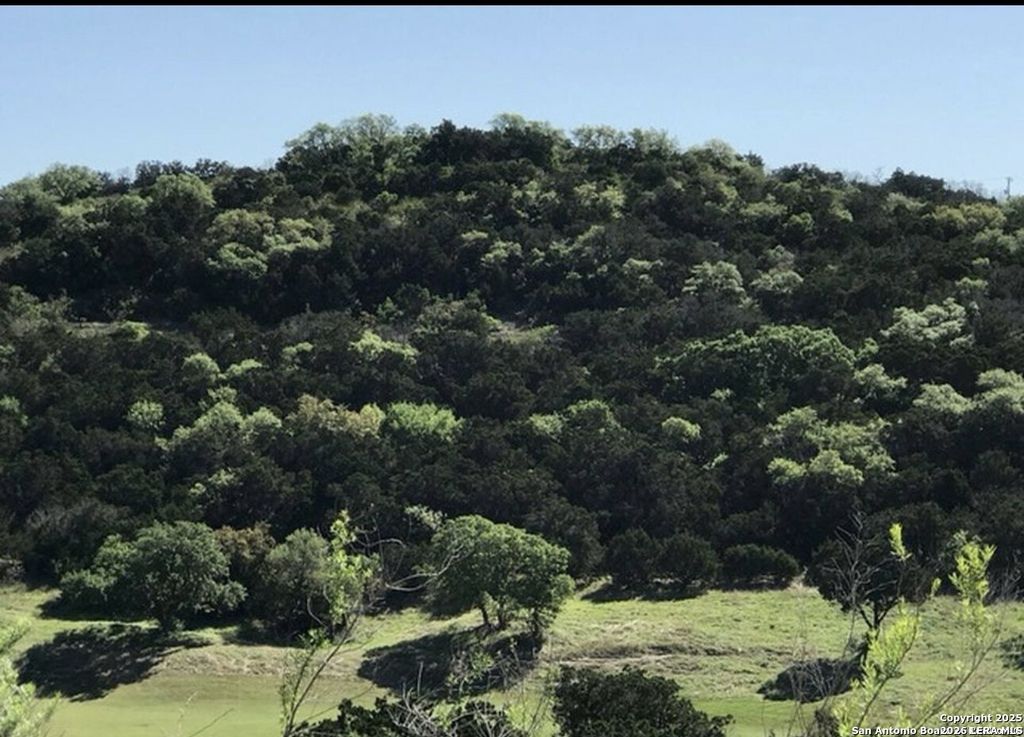 17719 Rancho Diana, San Antonio, TX 78255