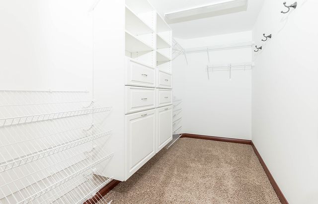 8700 Wooded Point Drive, Johnston, IA 50131