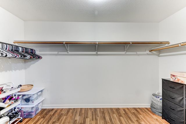 305 Pine Mist Lane, Conroe, TX 77304