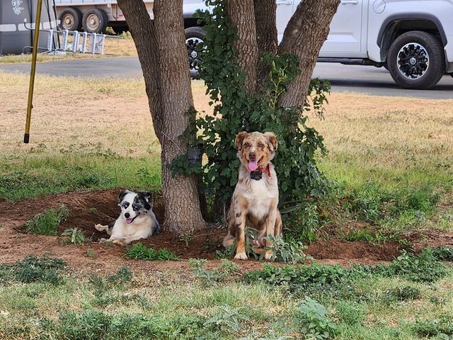 2401 S County Rd 1050, Midland, TX 79782