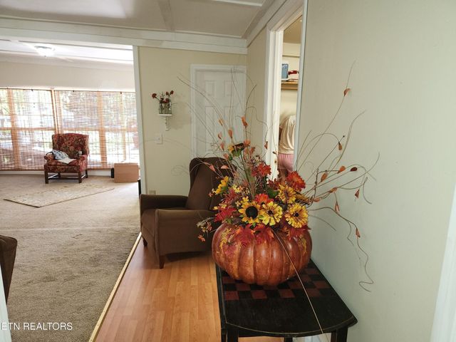 224 County Road 146, Riceville, TN 37370