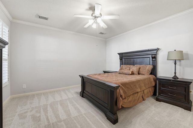 58 Crocus Petal Street, The Woodlands, TX 77382