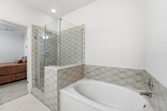 58 Crocus Petal Street, The Woodlands, TX 77382