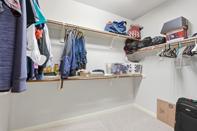 58 Crocus Petal Street, The Woodlands, TX 77382