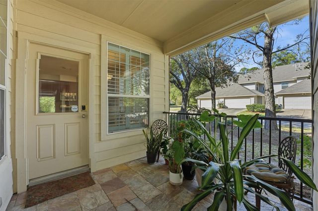 58 Crocus Petal Street, The Woodlands, TX 77382