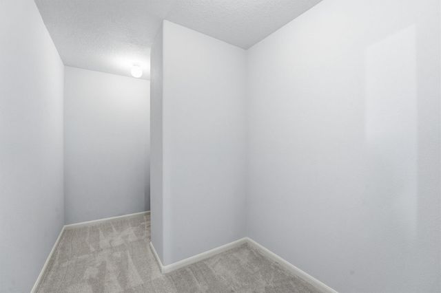 58 Crocus Petal Street, The Woodlands, TX 77382