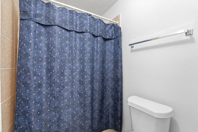 58 Crocus Petal Street, The Woodlands, TX 77382