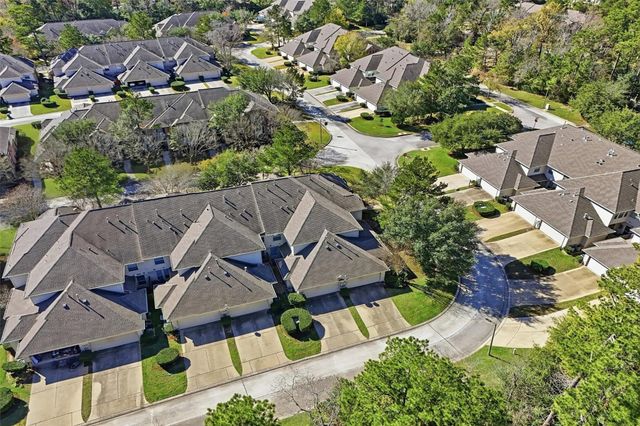 58 Crocus Petal Street, The Woodlands, TX 77382