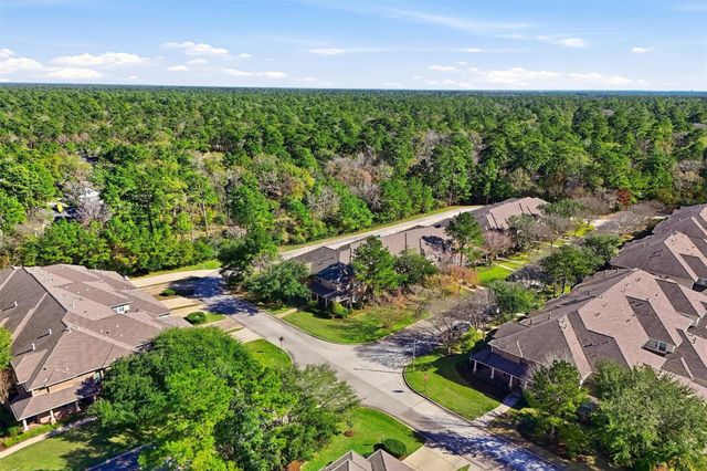 58 Crocus Petal Street, The Woodlands, TX 77382