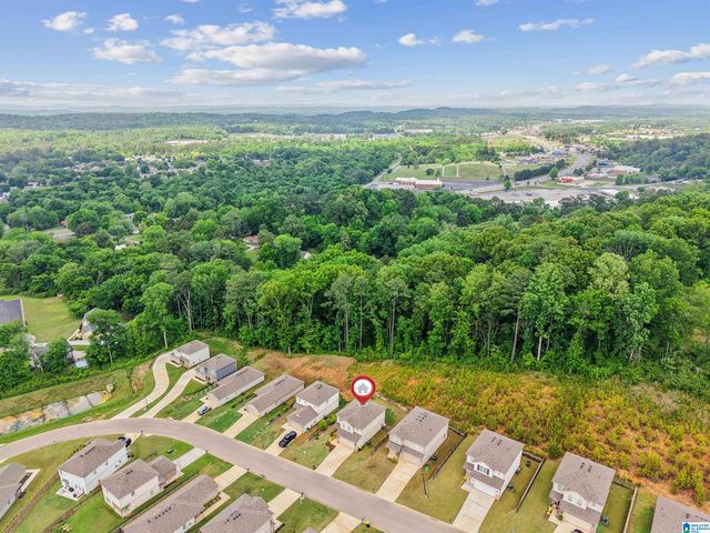 8668 MOHRING PLACE, Leeds, AL 35094