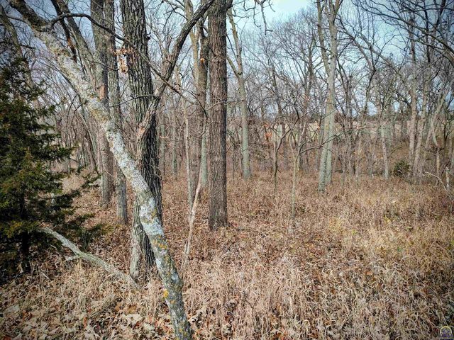 00000 206th Rd xxxx206th RD & N RD, Holton, KS 66436