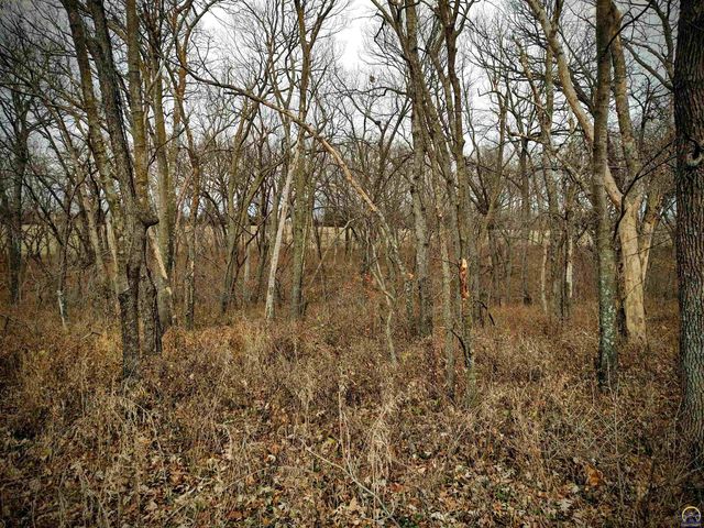 00000 206th Rd xxxx206th RD & N RD, Holton, KS 66436