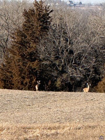 00000 206th Rd xxxx206th RD & N RD, Holton, KS 66436