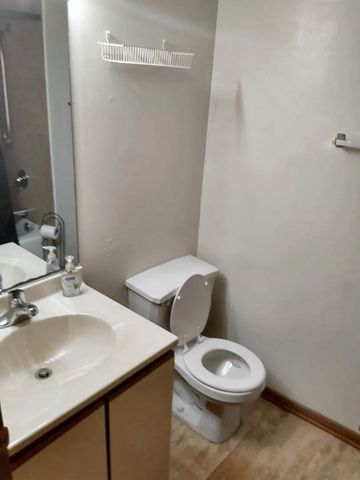 17985 Amherst Court 204, Country Club Hills, IL 60478