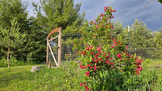 17140 Neill Path, Hastings, MN 55033
