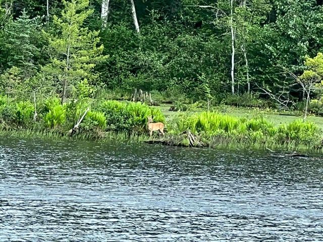 W9694 70, Park Falls, WI 54552