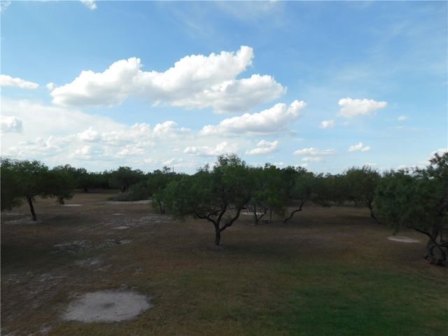 518 CR 2111, Alice, TX 78332
