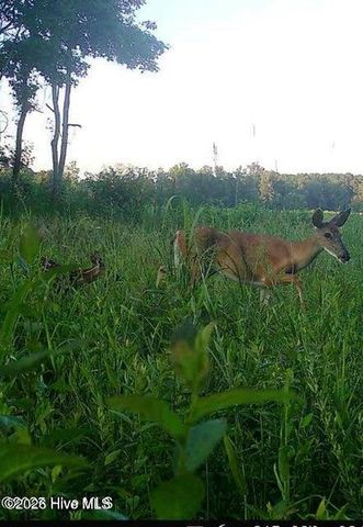 4803 Andrew Jackson Highway SW, Chadbourn, NC 28431