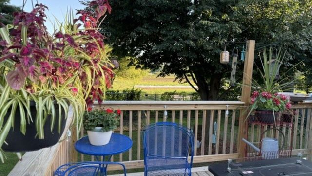 7 Sebring Road, South Burlington, VT 05403