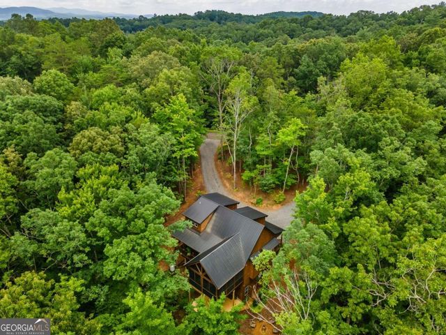 167 Trails End Ridge, Ellijay, GA 30540