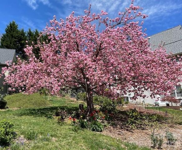 405 Mistletoe Trail, Hendersonville, NC 28791