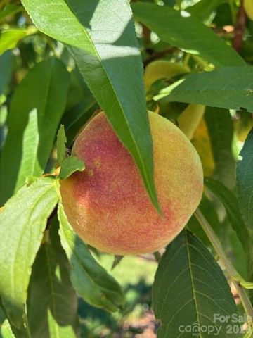 405 Mistletoe Trail, Hendersonville, NC 28791