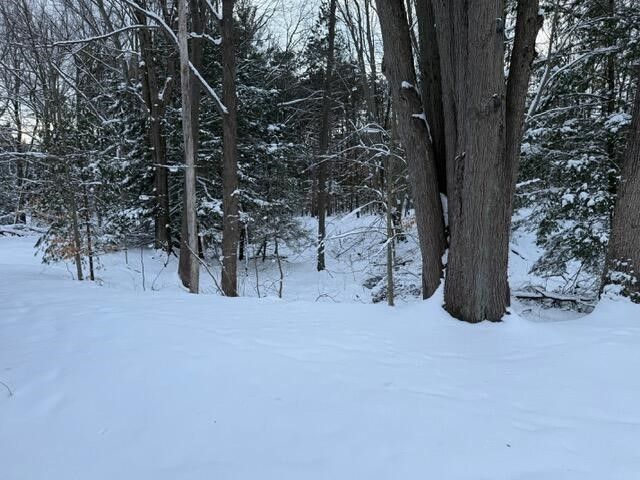 6595 Zellar Road, Whitehall, MI 49461