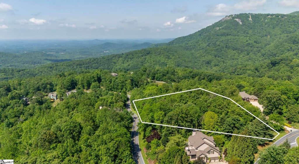 33 Raptor Way, Landrum, SC 29635