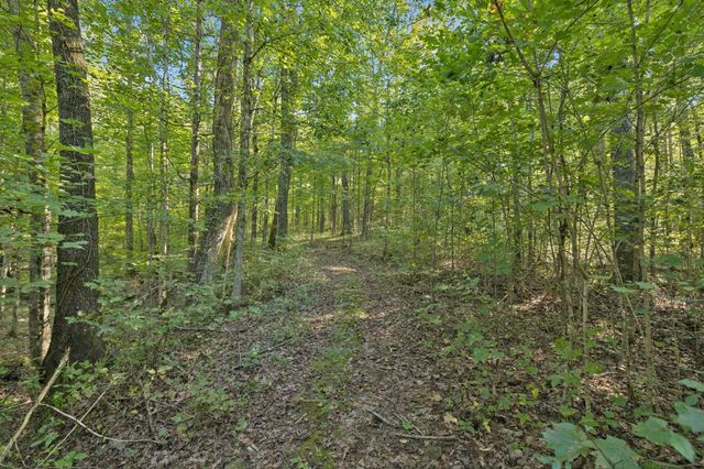 8435 Taliaferro Rd, Eagleville, TN 37060