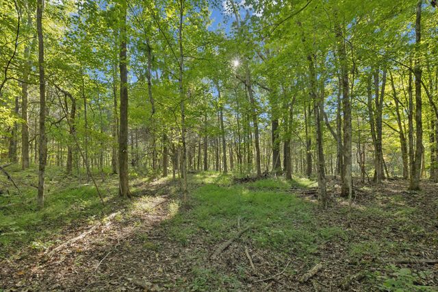 8435 Taliaferro Rd, Eagleville, TN 37060