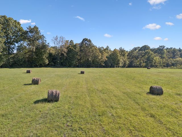 8435 Taliaferro Rd, Eagleville, TN 37060