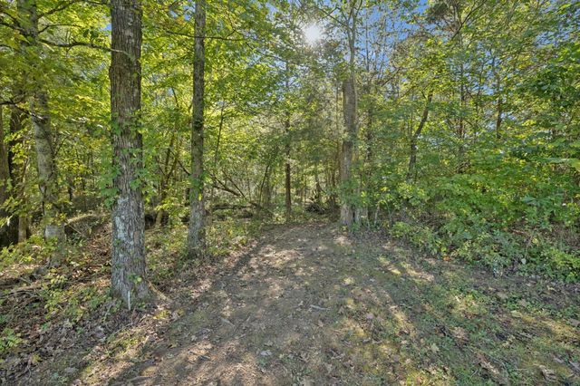 8435 Taliaferro Rd, Eagleville, TN 37060