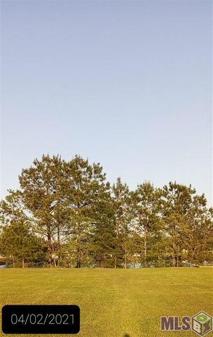 12542 N Lakeshore Dr, Walker, LA 70785