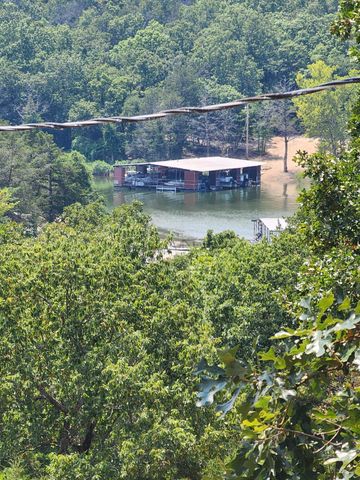 610 Double O Nine Road, Reeds Spring, MO 65737