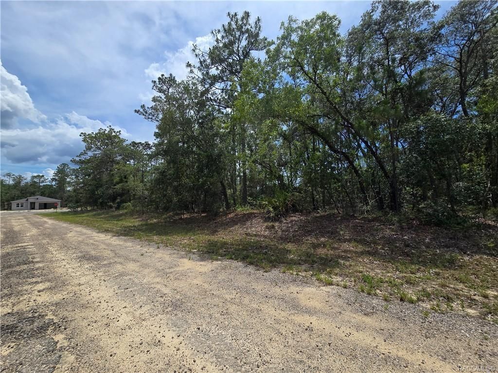 6468 N Baylor Ter, Citrus Springs, FL 34433
