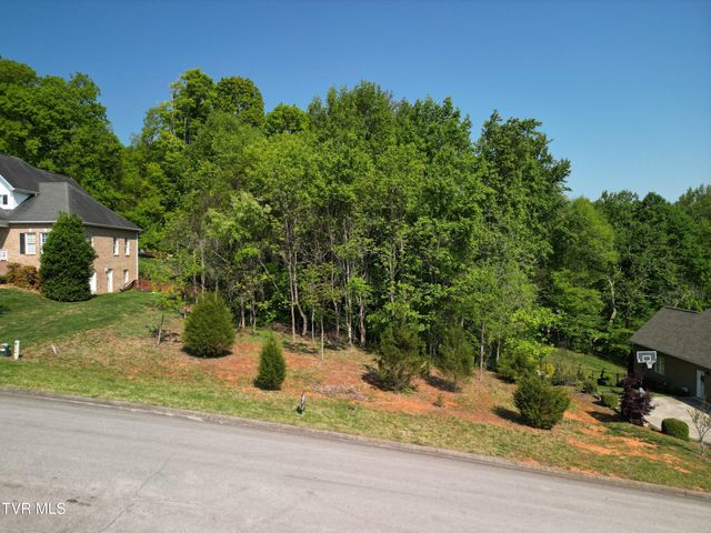160 Sugarcane Lane, Blountville, TN 37617