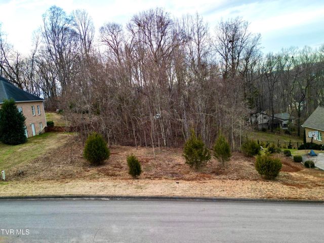 160 Sugarcane Lane, Blountville, TN 37617