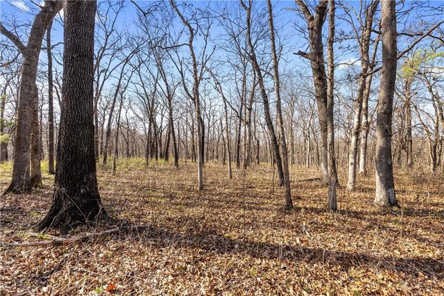 23529 E Overland Road, Nevada, MO 64772