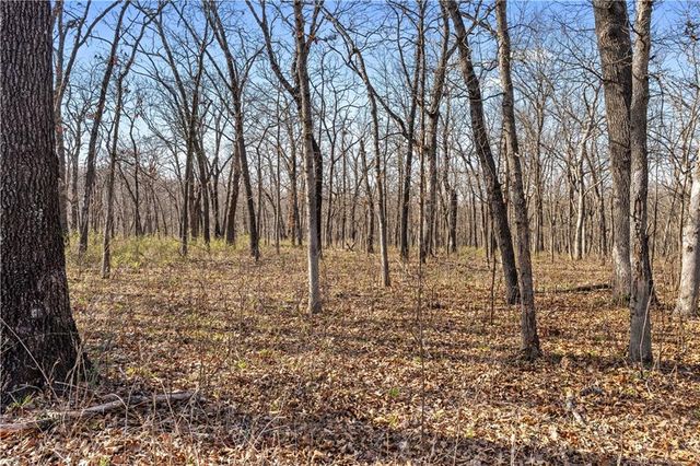 23529 E Overland Road, Nevada, MO 64772