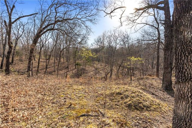 23529 E Overland Road, Nevada, MO 64772