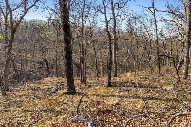 23529 E Overland Road, Nevada, MO 64772